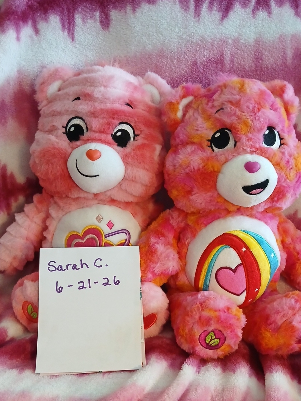 Care Bears Pink & Pink-Orange Plush Pair with Heart and Rainbow Belly Badges